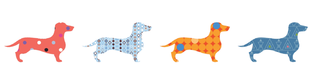 colorful dachshunds