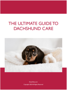 Dachshund Care pdf